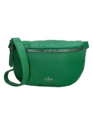 Charm Saszetka w kolorze zielonym - 23,5 x 15 x 6,6 cm rozmiar: onesize. Zielone nerki i saszetki Charm, bez wzorów, z materiału, sportowe, bez dodatków. Za 43.99 zł.