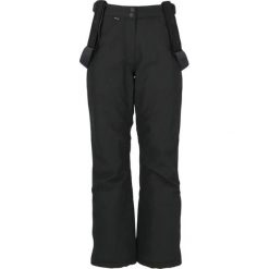 Spodnie narciarskie dla kobiet Whistler Drizzle Pro. Czarne spodnie narciarskie WHISTLER, bez wzorów, narciarskie. W wyprzedaży za 352.00 zł.