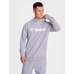 Bluza z kapturem Hummel Go 2.0 Logo. Szare bluzy Hummel, bez wzorów, z materiału, sportowe, bez ramiączek, z kapturem. Za 225.85 zł.