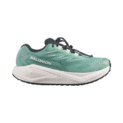 Obuwie Biegi gravelowe Kobiety AERO BLAZE 4 GRVL GORE-TEX. Zielone buty do biegania Salomon, bez wzorów, z gore-texu, bez zapięcia, do biegania, gore-tex. Za 689.00 zł.