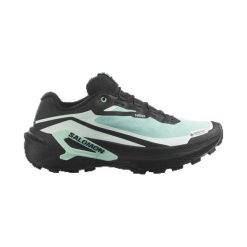 Obuwie Biegi w terenie Kobiety GENESIS 2 GORE-TEX. Czarne buty do biegania Salomon, bez wzorów, z gore-texu, bez zapięcia, do biegania, gore-tex. Za 729.00 zł.