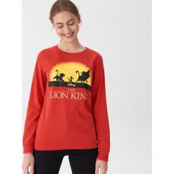 Bluza The Lion King - Czerwony. Bluzy marki House. Za 69.99 zł.