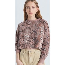 Krótka bluza z wężowym wzorem - Kremowy. Bluzy marki Cropp. Za 69.99 zł.