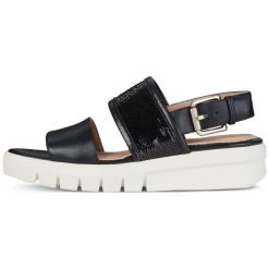 Geox Sandały Damskie Wimbley 38 Czarny. Sandały marki Geox. Za 499.00 zł.