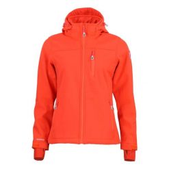 Kurtka damska softshell z kapturem Peak Mountain Aclaude. Brązowe kurtki przejściowe sportowe Peak Mountain, bez wzorów, z softshellu, z kapturem, trekkingowe. W wyprzedaży za 401.45 zł.