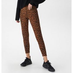Legginsy w panterkę - Bordowy. Legginsy House. W wyprzedaży za 19.99 zł.