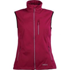 Kurtka damska Pro-X Elements Sina. Czerwone kurtki przejściowe sportowe PRO-X ELEMENTS, bez wzorów, z materiału, bez kaptura, trekkingowe. Za 304.00 zł.