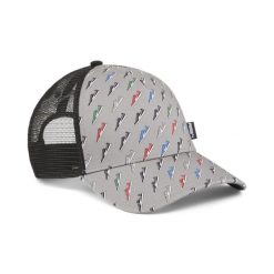 Puma Czapka Academy Aop Trucker 02436210. Szare czapki z daszkiem Puma, bez wzorów, z bawełny, klasyczne. Za 54.99 zł.