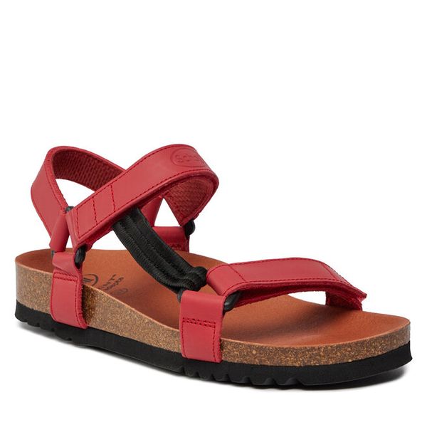 Sandały Scholl. Czerwone sandały Scholl, bez wzorów, bez obcasa, na płaskiej podeszwie, bez zapięcia. Za 344.99 zł.