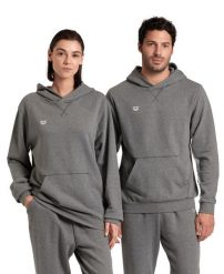 Bluza Arena Icons Hooded Sweat Solid z kapturem. Szare bluzy Arena, m, bez wzorów, z bawełny, bez ramiączek, z kapturem. Za 249.00 zł.