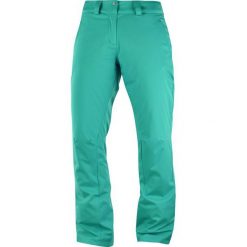 Salomon Damskie Spodnie Narciarskie Stormpunch Pant W Waterfall S. Spodnie narciarskie marki Salomon. W wyprzedaży za 455.00 zł.