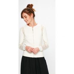 Morgan - Bluza. Szare bluzy marki Morgan, z dzianiny. Za 249.90 zł.