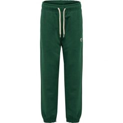 Spodnie dresowe dla dzieci Hummel Bee Loose. Zielone szorty Hummel, bez wzorów, z dresówki, sportowe. Za 181.50 zł.