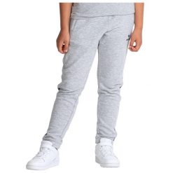 Spodnie dresowe dla dzieci Erima Essential Team. Szare szorty Erima, bez wzorów, z dresówki, sportowe. Za 167.00 zł.