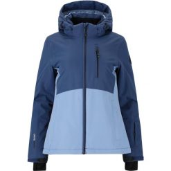 Kurtka narciarska damska Whistler Drizzle W-PRO 10000. Zielone kurtki narciarskie WHISTLER, na zimę, m, bez wzorów, bez kaptura, narciarskie. Za 429.99 zł.