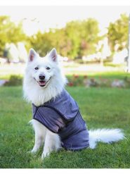 Paws&Whiskers Szlafrok w kolorze szarym dla psa rozmiar: L. Szare szlafroki damskie Paws&Whiskers, l, bez wzorów, z materiału, bez ramiączek. Za 165.99 zł.