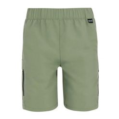 Szorty dla dzieci Regatta Sorcer III. Zielone szorty Regatta, bez wzorów, z poliesteru, młodzieżowe. Za 157.00 zł.