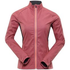 Damska Kurtka Softshell Alpine Pro Technica 2 2XL Wodoodporna. Fioletowe kurtki Alpine Pro, xl, bez wzorów, z softshellu, bez kaptura. Za 262.99 zł.