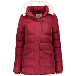 Cars-Jeans Damska kurtka Charleen Poly Red 4561660 (rozmiar S). Czerwone kurtki Cars Jeans, na zimę, s, bez wzorów, z jeansu, bez kaptura. W wyprzedaży za 285.00 zł.