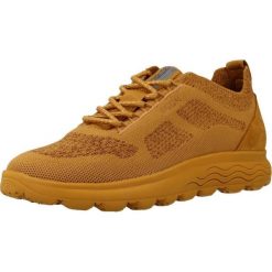 Buty GEOX D SPHERICA Żółty. Żółte buty trekkingowe Geox, bez wzorów, ze skóry, bez zapięcia, trekkingowe. Za 257.99 zł.