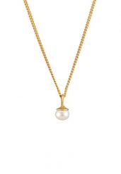 Elli Damski wisior z perłą hodowlaną słodkowodną filigranowy Minimal pozłacane srebro 925 Sterling Silver Naszyjniki 1 ct. Szare naszyjniki Elli, z materiału, z perłą, pozłacane. Za 293.99 zł.