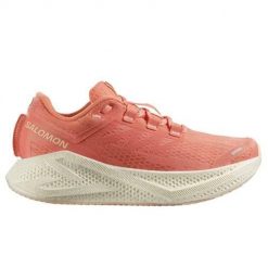 Buty do biegania damskie Salomon Aero Glide 3. Brązowe buty do biegania Salomon, bez wzorów, z materiału, bez zapięcia, do biegania. Za 696.00 zł.