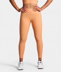 Legginsy Rib sportowe damskie. Brązowe legginsy NORDICDOTS, bez wzorów, z materiału, eleganckie, długie. Za 365.00 zł.