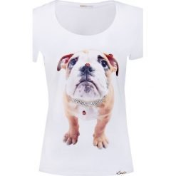 T-shirt EAN13 BULLDOG Biały|Print. T-shirty marki Ean13. W wyprzedaży za 350.00 zł.