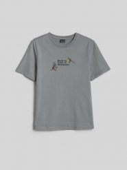 4F T-shirt loose z nadrukiem damski - szary S. Szare t-shirty 4f, m, bez wzorów, z bawełny, klasyczne, bez kołnierzyka, bez ramiączek. Za 79.99 zł.