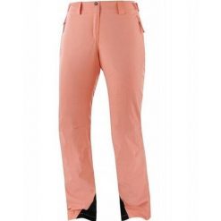 Spodnie zimowe na narty i snowboard damskie Salomon THE BRILLIANT. Brązowe spodnie narciarskie Salomon, bez wzorów, z elastanu, narciarskie. Za 339.00 zł.