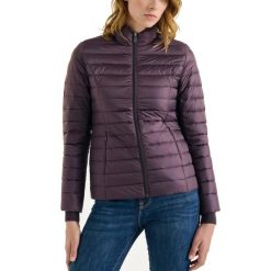 Kurtka Jott Model Cha Kolor Fioletowy. Fioletowe kurtki jott, bez wzorów, z tkaniny, sportowe, bez kaptura. Za 383.99 zł.