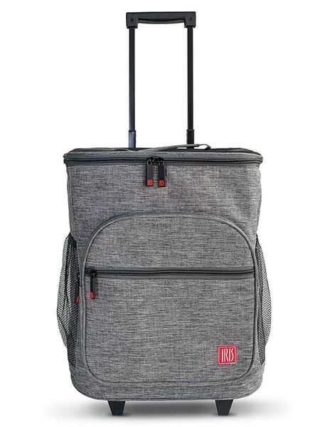 IRIS Barcelona Torba chłodząca "Weekend" w kolorze szarym - 34 x 37 x 28 cm rozmiar: onesize. Szare torby sportowe IRIS Barcelona, bez wzorów, z materiału. Za 244.95 zł.