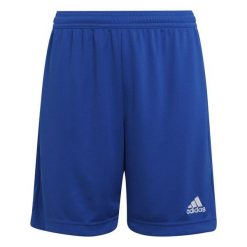 Spodenki piłkarskie dla dzieci adidas Entrada 22. Niebieskie szorty adidas, bez wzorów, sportowe. Za 62.00 zł.