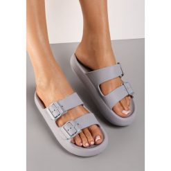 Szare Klapki Phoebaste. Szare klapki Renee, z aplikacjami, z gumy, klasyczne, bez obcasa, na płaskiej podeszwie, bez zapięcia. W wyprzedaży za 47.99 zł.
