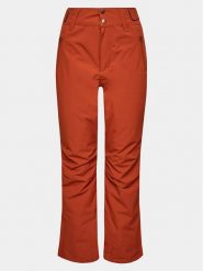 Protest Spodnie narciarskie Cinnamon P4693100 Brązowy Regular Fit. Brązowe spodnie narciarskie Protest, bez wzorów, z syntetyku, narciarskie. Za 379.99 zł.