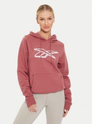 Reebok Bluza Graphic OTH Hoodia 100202148 Brązowy Regular Fit. Brązowe bluzy Reebok, s, bez wzorów, z bawełny, bez kaptura. Za 109.99 zł.
