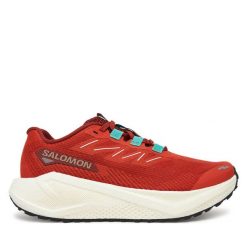 Buty do biegania Salomon. Brązowe buty do biegania Salomon, bez wzorów, bez zapięcia, do biegania. Za 619.99 zł.