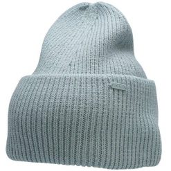 Damska czapka 4F jasny niebieski melanż H4Z22. Niebieskie czapki zimowe 4f, bez wzorów, z poliesteru, sportowe. Za 41.99 zł.