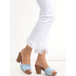 Jasnoniebieskie Klapki Anivia. Klapki marki Born2be. Za 49.99 zł.