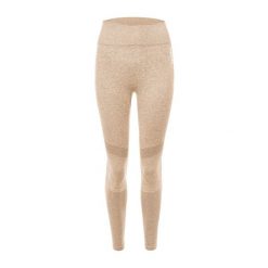 Legginsy treningowe damskie Carpatree Vibe Seamless. Brązowe legginsy Carpatree, bez wzorów, sportowe. Za 239.00 zł.