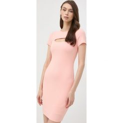 Guess sukienka kolor pomarańczowy mini dopasowana. Brązowe sukienki Guess, l, z aplikacjami, z dzianiny, bez kołnierzyka, bez ramiączek, mini, dopasowane. Za 459.99 zł.