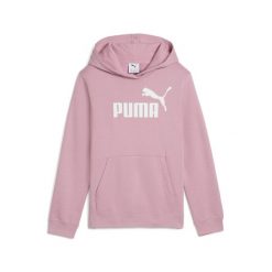 Młodzieżowa polarowa bluza z kapturem ESS z logo No. 1 PUMA Poised Pink. Czerwona bluzy z kapturem Puma, m, bez wzorów, z polaru, z kapturem, do biegania. Za 159.00 zł.