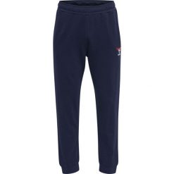 Jogging Hummel IC Dayton. Niebieskie szorty Hummel, bez wzorów, z dresówki, sportowe. Za 212.90 zł.