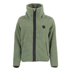 Polar z kapturem dla kobiet Peak Mountain Amay. Zielone bluzy z polaru Peak Mountain, bez wzorów, z polaru, trekkingowe. Za 288.40 zł.