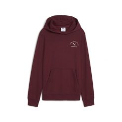 Młodzieżowa bluza z kapturem PUMA Class z grafiką PUMA Ruby Shimmer Red. Czerwona bluzy Puma, m, bez wzorów, z kapturem, do biegania. Za 229.00 zł.