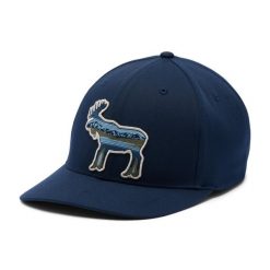 COLUMBIA Czapka z daszkiem Lost Lager 110 Snap Back colegiate navy. Niebieskie czapki z daszkiem Columbia, na lato, bez wzorów, klasyczne. Za 73.40 zł.