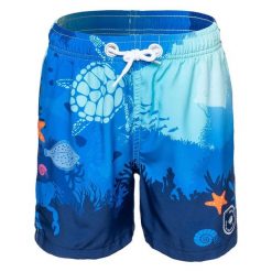 Spodenki Dziecięce Bali Ocean. Niebieskie szorty AQUAWAVE, bez wzorów, sportowe. Za 62.99 zł.