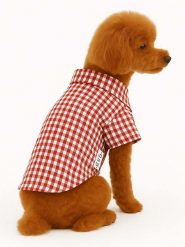 Paws&Whiskers Bluza w kolorze brązowym dla psa rozmiar: M. Brązowe bluzy Paws&Whiskers, m, bez wzorów, bez ramiączek, bez kaptura. Za 52.99 zł.