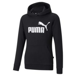 Młodzieżowa bluza z kapturem z logo Essentials PUMA Black. Czarna bluzy z kapturem Puma, m, bez wzorów, z bawełny, z kapturem. Za 135.70 zł.