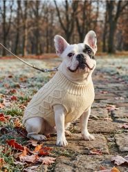 Sweter dla zwierząt z warkoczowym splotem - beżowy. Brązowe swetry Sinsay, bez wzorów, ze splotem, bez ramiączek. Za 15.99 zł.